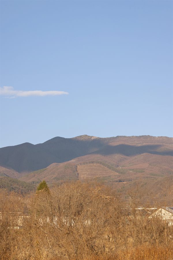 山並みと冬枯れの木立